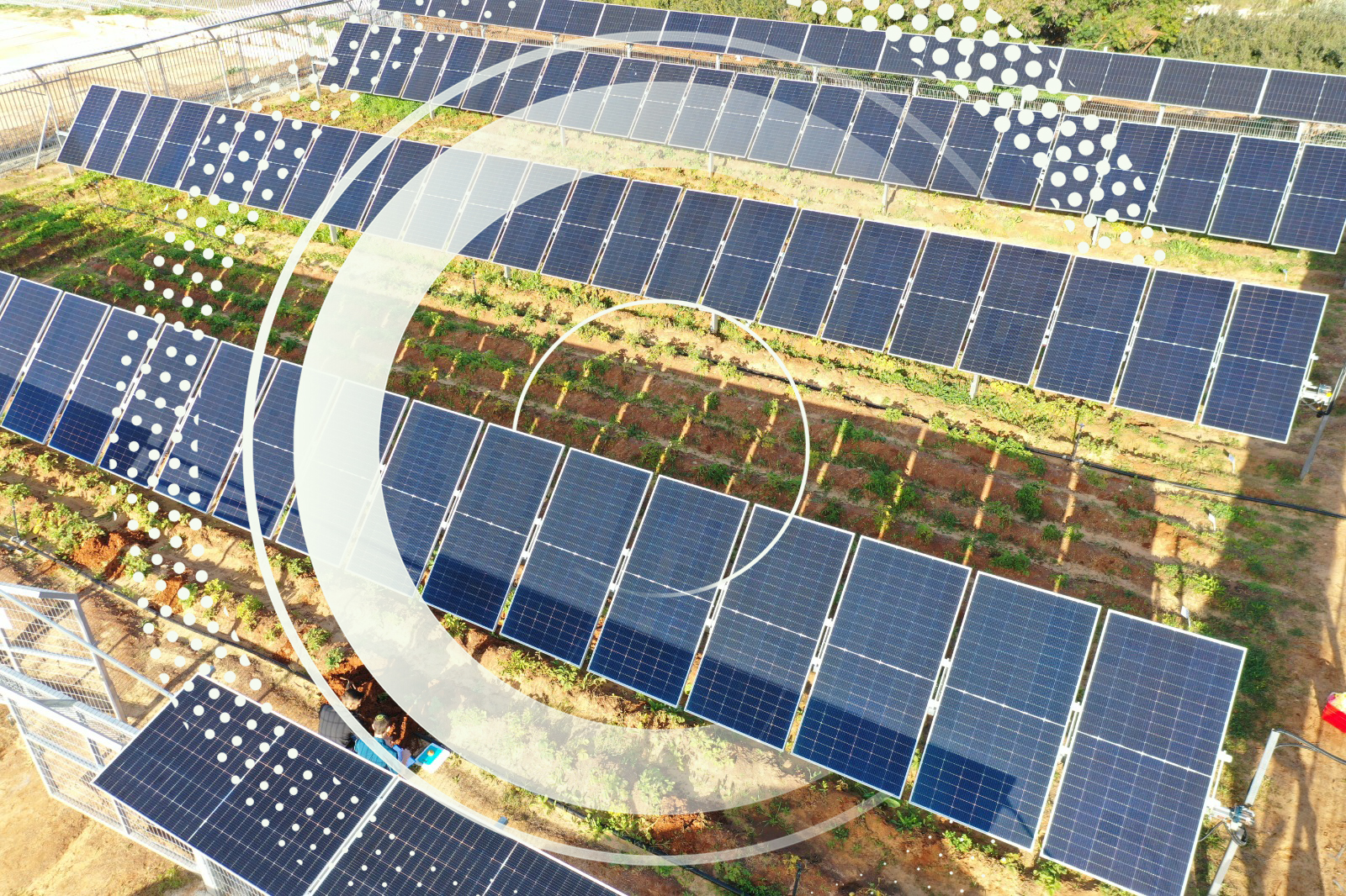 solar panels on a field